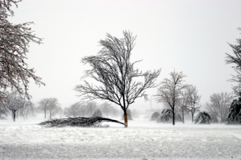 2021 Winter Storm Damage