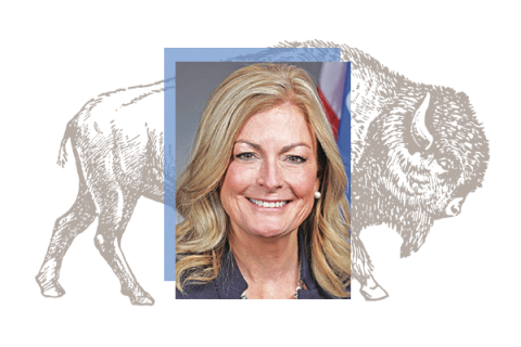 Sen. Kim David