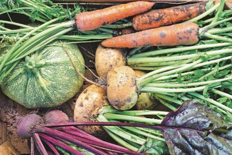 Vegetables 