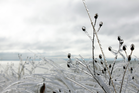 Winter weather in February caused utility prices to skyrocket.