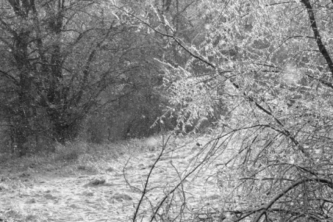 Subfreezing temperatures “curtailed energy production due to equipment outages as well as dramatically increased usage,” wrote Ron Comingdeer, attorney for Fort Cobb Fuel Authority (FCFA).