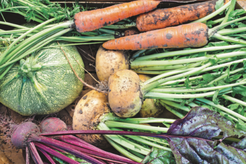 RegionaFood Bank of Oklahoma is looking for persons to bring an end to hunger in the state.