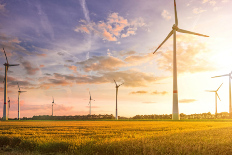 AEP/PSO is using wind farm energy. 