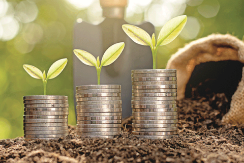Financial wellness