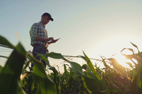 Oklahoma farmers