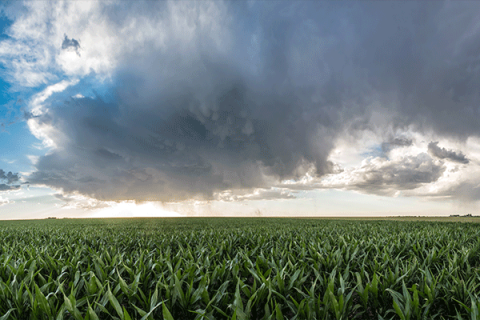  Avg. rainfall 1.59"