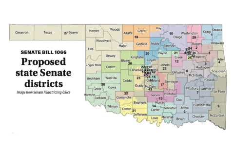 Proposed state Senate districts 
