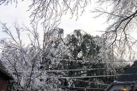 Winter storm - PHOTO PROVIDED