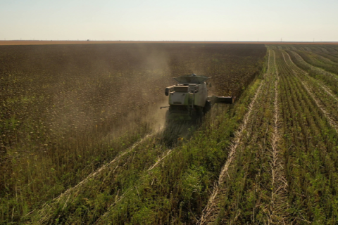Crop report: State’s drought worsens. Photo Provided.