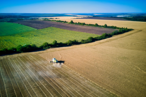 State Crop Reports. 