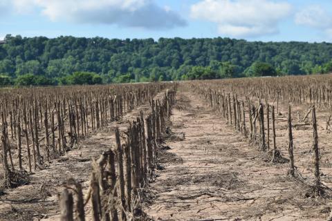 Property south of Fort Gibson that was heavily damaged by floodwaters in May 2019.  Photo courtesy Oklahoma Conservation Commission