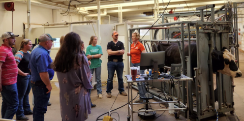 The 2023 Integrated Beef Cattle Program completed its last module, which was held in conjunction with the Merck Bovine Health and Technology Summit at Oklahoma State University in Stillwater. Participants learned about topics that ranged from production medicine to bovine respiratory disease. OSU COLLEGE OF VETERINARY MEDICINE
