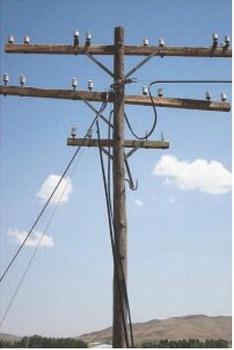 Oklahoma regulators advised: Don’t rush to make utility pole changes