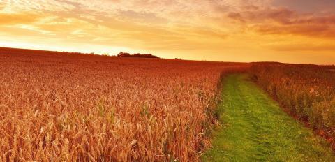 Oklahoma Farm Bureau awards 10 state lawmakers