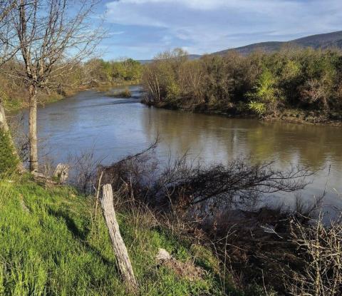 The Kiamichi River as seen from the rear of Weldon Robbins’ property near Albion on March 17, 2024. Mike W. Ray | Southwest Ledger