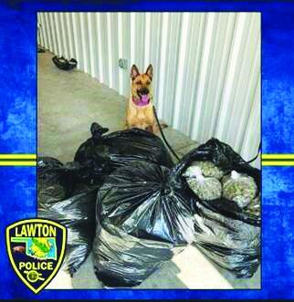 LPD K-9 “Juliet” poses with the 80 pounds of illicit marijuana she detected in the trunk of a car driven by an out-of-state motorist who otherwise would have been simply ticketed for a relatively typical traffic offense: running a red light. Lawton Police Department