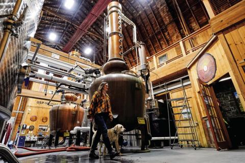 Robert F. Bukaty | Associated Press Meghan Ireland and her dog, Murphy, walk by one of the 750-gallon pot and column whiskey stills at the WhistlePig distillery Monday, April 6, 2026, in Shoreham, Vermont.
