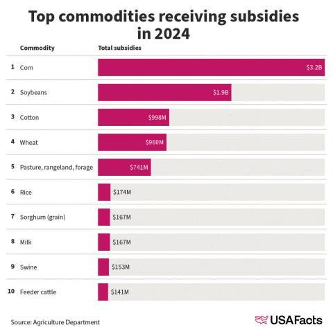 Top commodities receiving subsidies in 2024