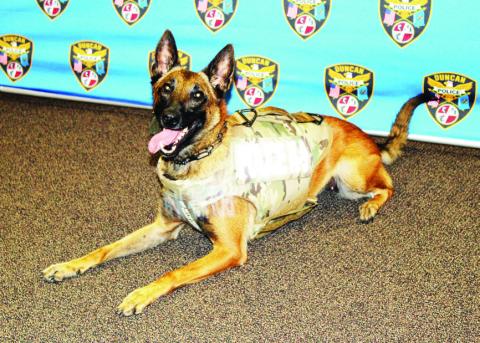 City of Duncan Duncan Police Department K9 Blu is shown in a protective vest from Vested Interest in K9s Inc.